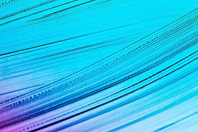 有玩家提前拿到《明末：渊虚之羽》实体版 大赞游戏出色